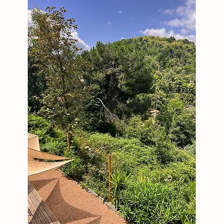 לינה וארוחת בוקר A Tiusella אביזה