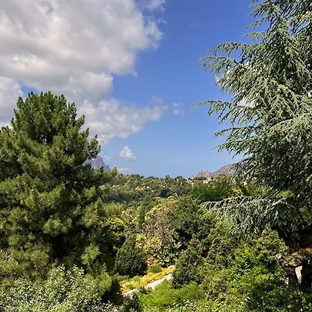 A Tiusella *