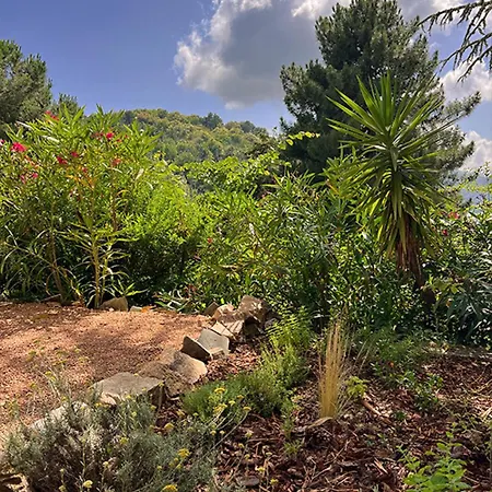 A Tiusella Bed and Breakfast Evisa