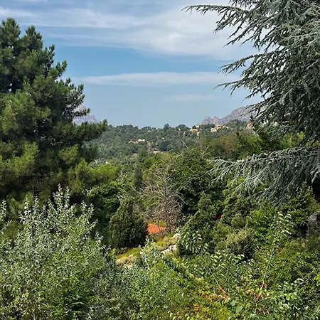 Bed and Breakfast A Tiusella Evisa